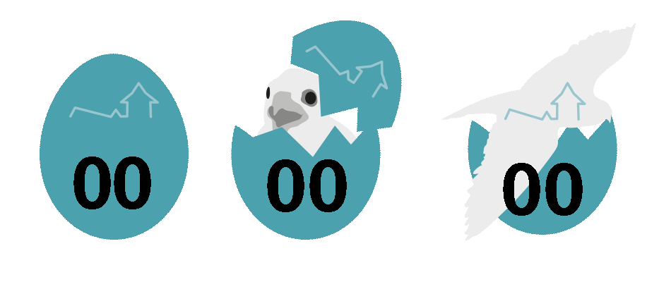 asset_image