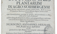  Titelseite der Flora Volckamers (1700) | © trialsanderrors - flickr
