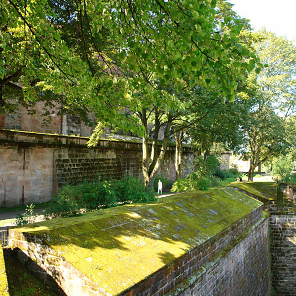 Lebensraum Mauer beim Burggarten | © Dr. Stefan Böger